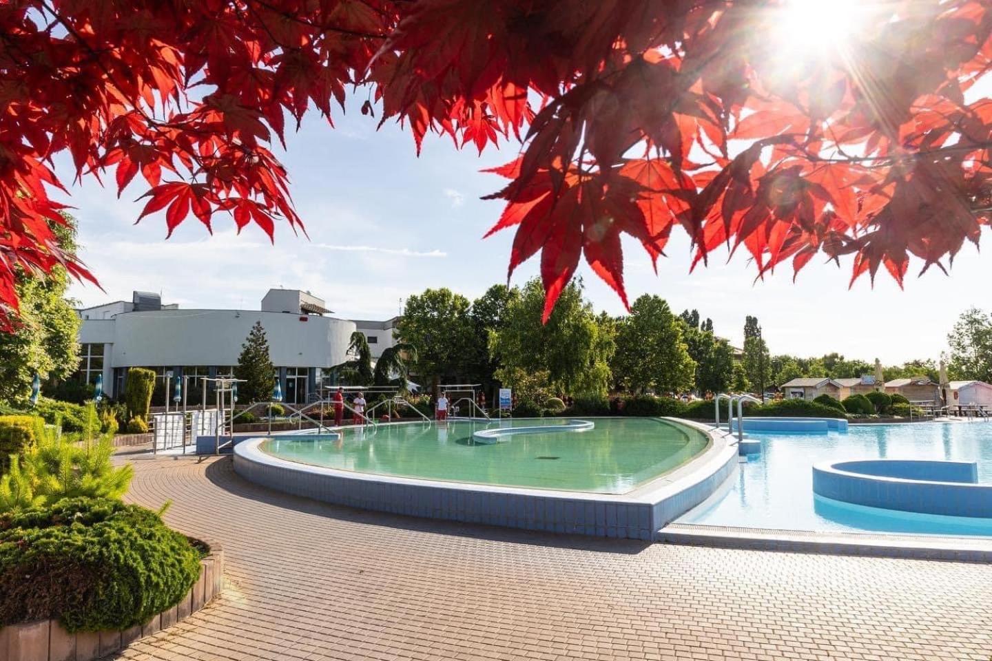 Dom Alex Pri Kupalisku Thermalpark Dunajska Streda Bagian luar foto